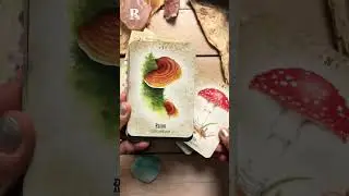 Mushroom Spirit Oracle