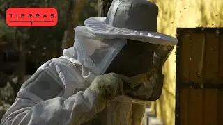 Episodio 09: BUENOS AIRES - Proyecto Tierras - Temporada 2024 (19/07/2024)