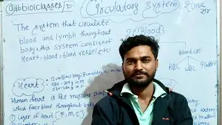 Introduction of Circulatory system in Hindi| heart| blood vessels| 