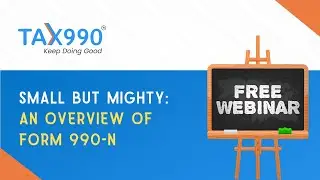 Small but Mighty: An Overview of Form 990-N