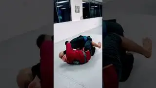 THE MOOSE ARMLOCK #bjj #jiujitsu #brazilianjiujitsu #armlock #armbar #mma #ufc #martialarts #legacy