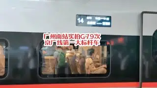 #火车迷爱好者 广州南站实拍运转记录，京广线第一大标杆车G79次#铁路摄影 #沿途随拍 #高铁🚅 #复兴号