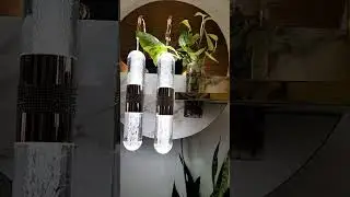 Money plant in water bottle #garden #plants