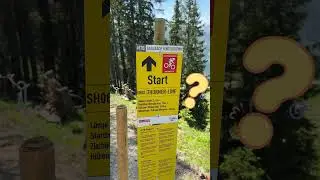 Biken am Kohlmais in Saalbach
