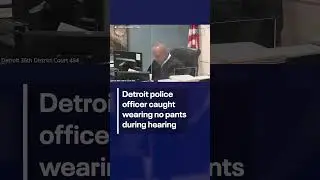 Michigan police officer caught not wearing pants during hearing | FOX 10 Phoenix