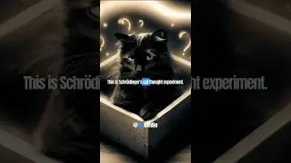 Schr&ouml;dinger&rsquo;s Cat: A Thought Experiment in Quantum Mechanics