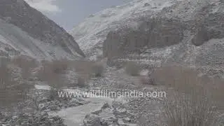Frozen Ladakh valley with wildlife trackers following snow leopard pugmarks