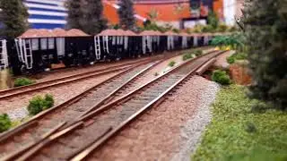 Modelcon Train with EOT and EMD&acute;s DPU in the jungle