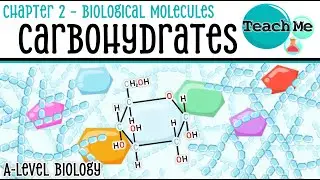 Chapter 2 | Carbohydrates | Cambridge AS & A Level Biology (9700)