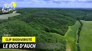 Le bois d'Auch - Tour de France 2025