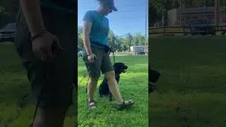 E-Collar Conditioning W/ Leash Pressure