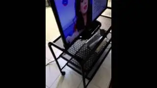 Como ver la TV sin cable de antena