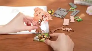 Robotime Rolife Sakura Dreamy Tour DIY Music Box 3D Wooden Puzzle