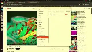 Fix Elgato HD60X screen and record yellow-green-ish color. Pass through Ubuntu. Capture  Windows 10