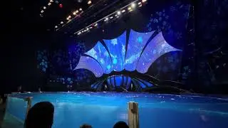 Dolphin Theatre at Georgia Aquarium part 1