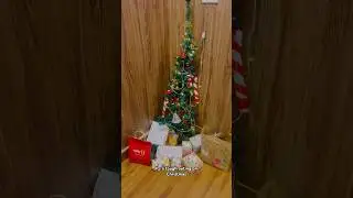 Christmas day outing #youtube #love #shortvideos #christmas #viral #vlog #trending #shorts #youtube
