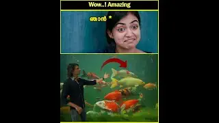 15 ലക്ഷത്തിൻ്റെ Aquarium ഉള്ള വീട്😲😲| Alappuzha Rossi Home Tour