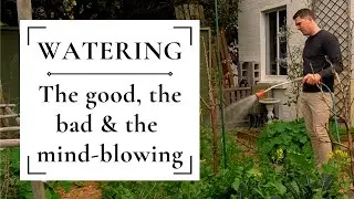 The BEST way to water your garden + watering options that don't work