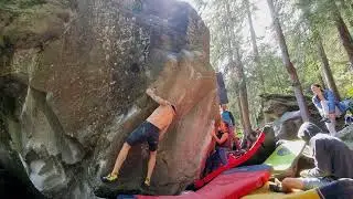 Magic Wood - Verbotene Frucht 7A/+ (Flash)