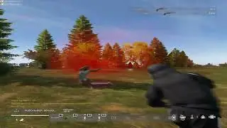 клановый игрок #paradise #fragmovie #dayz #zustark