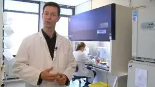 Nanotechnologie en proefdieren: TNO