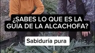 &iquest;Sabes lo que es la gu&iacute;a de la alcachofa?Sabidur&iacute;a pura.