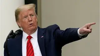 President Trump Defends Elon Musk