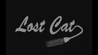 Lost Cat - 