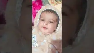 missing chachu