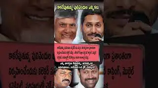 Pulivendula ZPTC Election Kakarepu! Collector Review, Police Alert! 🔍🗳️🔥