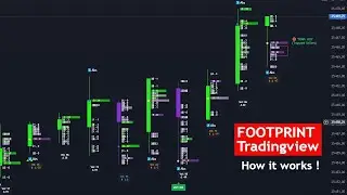 I Coded the Impossible on TradingView: Footprint Demo