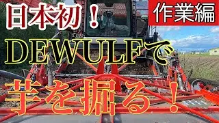 自走式4畝ポテトハーベスター【dewulf 】作業編【デウルフ】馬鈴薯収穫 【ベルギー】DEWULF #56