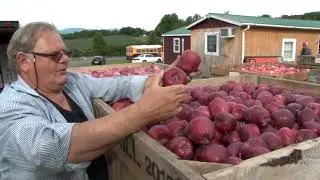 UNITED BROTHERS FRUIT MARKET 2019