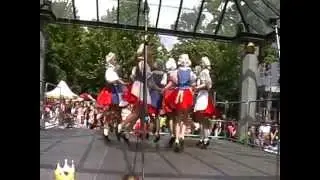 Dfs Prvosienka