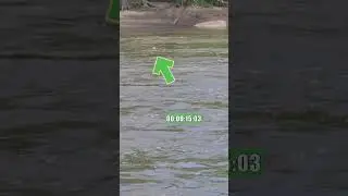 How To Catch Catfish - Flathead Blue & Channel: River Fishing Tips & Tricks: FATKAT Best Catfish Rig