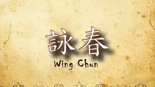 Basic Wing Chun Boxing Techniques (Sparring) 02