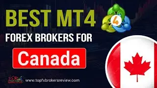 Top 10 MT4 Forex Brokers for Canada | Best Meta Trader 4 Brokers 2025