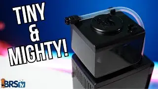 ЛУЧШИЕ скиммеры для небольших рифов?
