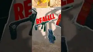 I found a SECRET SMG on Rebirth Island