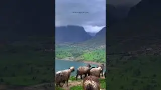Calmness is free, take some in the nature of Iran #naturelovers