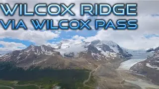 Let's Hike to Wilcox Ridge via Wilcox Pass