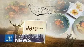 Kū-Kūm's seal meat dish causing a stir in Toronto | APTN News