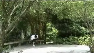 RE4M JACKYON FREESTYLE