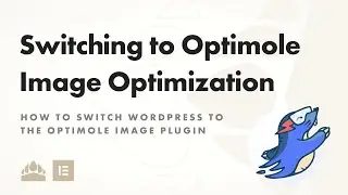 How to Switch Wordpress to Optimole Image Optimization