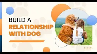 How to Build a Relationship with Dog | Tips & Tricks
