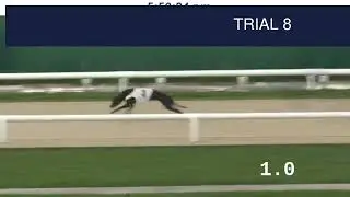 Dunstall Park Trials on 24th October 2025