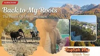 Meeting my Son after 3 Months & Life in the Mountains