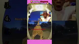 Ranking Ringcam Animal Twerk Videos