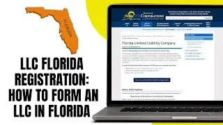 LLC florida registration   How to Form an LLC in Florida