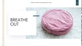 Mindful & Modern Velvet Pillow Bumper Video